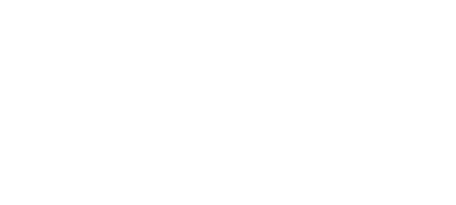 Lean Consultants